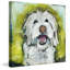 «Smiley Dog» par Tori Campisi - reproduction sur toile tendue-694063029
