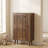 Modern Shoe Cabinet