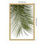 «Palm Leaves Foliage Photo IV» par Amini54, reproduction d'art sur toile encadrée-307420566