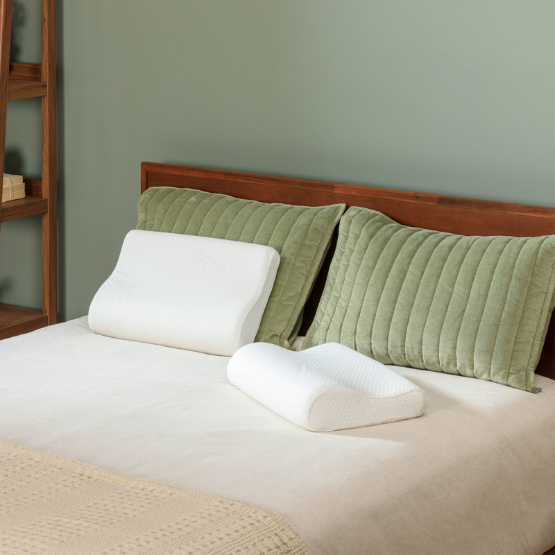 Tempur-Ergo Neck Memory Foam Extra Firm Pillow, Small Profile, Single