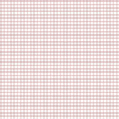 Nerijus Little Explorers 2 Two Tone Gingham Wallpaper Roll
