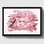 Pink Cherry Blossom Tree Flowers - Print-23740623-23740624