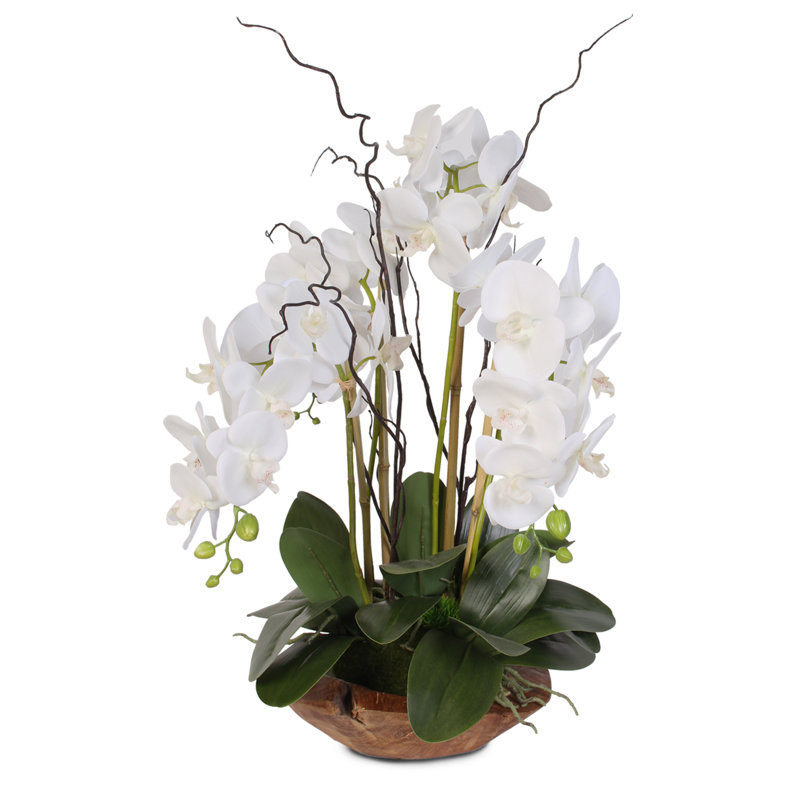 Arrangement floral orchidée en soie Phalaenopsis