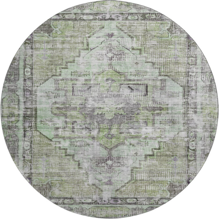 Premium Machine Washable Lucchesi AMF1729 Global Rug