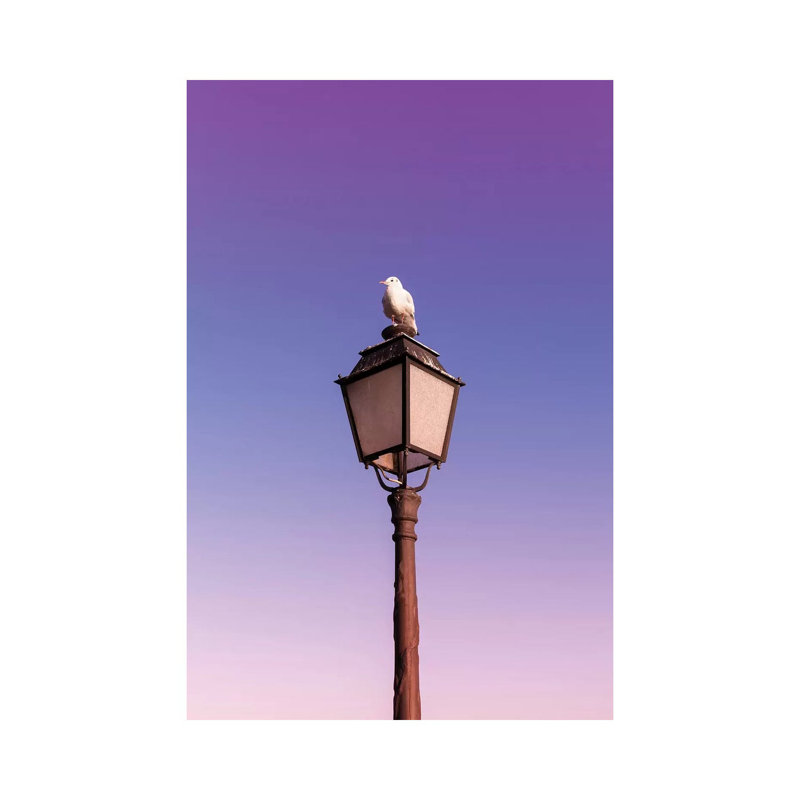 Seagull by Beli - Wrapped Canvas Print, 101.6 cm H x 66.04 cm W x 3.175 cm D