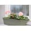 Boîte à fleurs rectangulaire d'intérieur / extérieur Dura Cotta-102363959-102363960