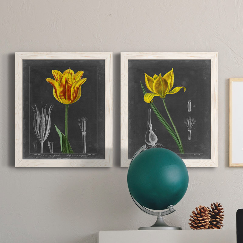«Midnight Tulip», reproduction encadrée prémium, H 24 po x l 36 po x P 1,5 po, Toile blanche encadrée, Pas de tapis