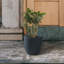 Pot de fleurs en béton-1999795918-1999795919
