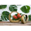 Ceramic Planter-606289262