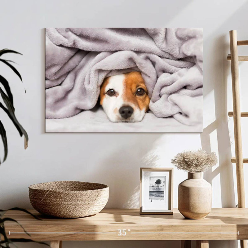 Couverture pour chien Brampt, H 16 po x l 24 po