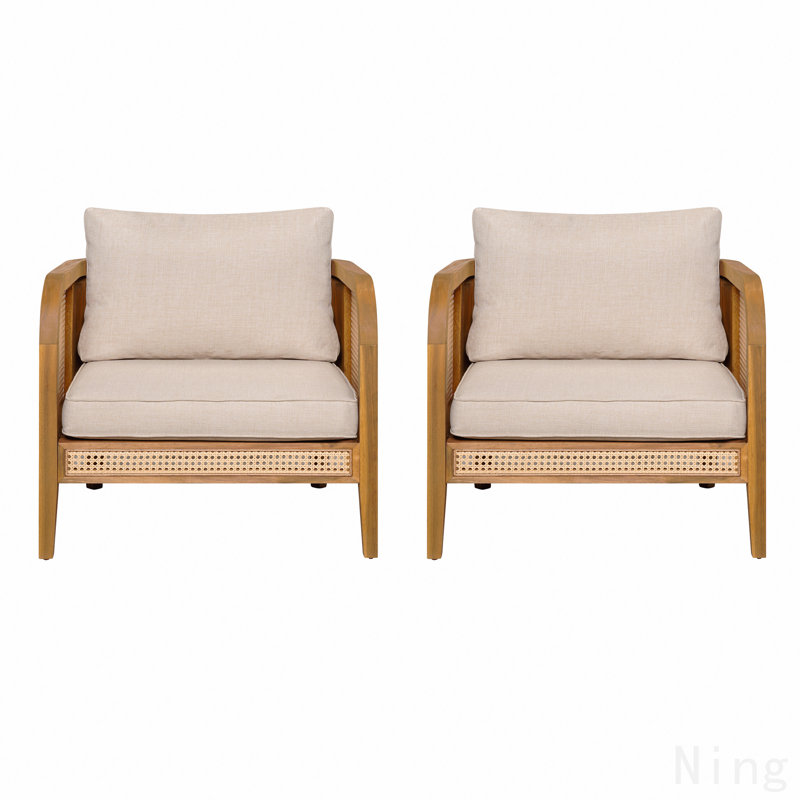Chaise avec accoudoirs d'extérieur rembourrée, ensemble de 2