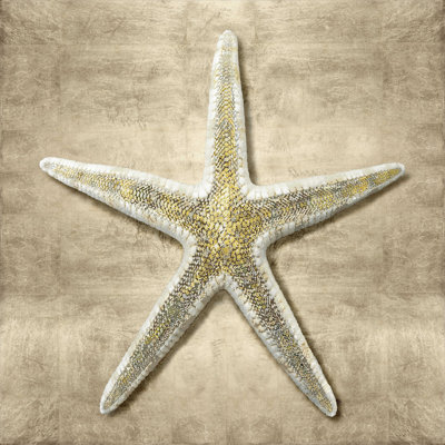 " Golden Sea Life I "