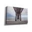 Pigeonnier «Beneath The Outer Banks Beach Pier» par Lori Deiter-2119321851