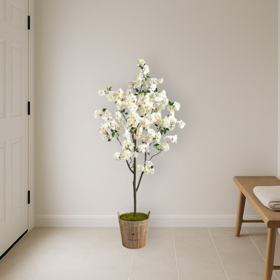 Cherry Blossom Tree in Farmhouse Planter