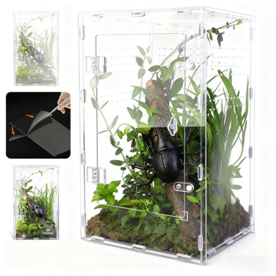 Réservoir de reptile sans assemblage (taille M) - Enceinte haute transparence, respirante et sécuritaire, habitat idéal pour les bernard-l'hermite, les tarentules, les tortues et les araignées sauteuses