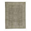 Wool Oriental Area Rug