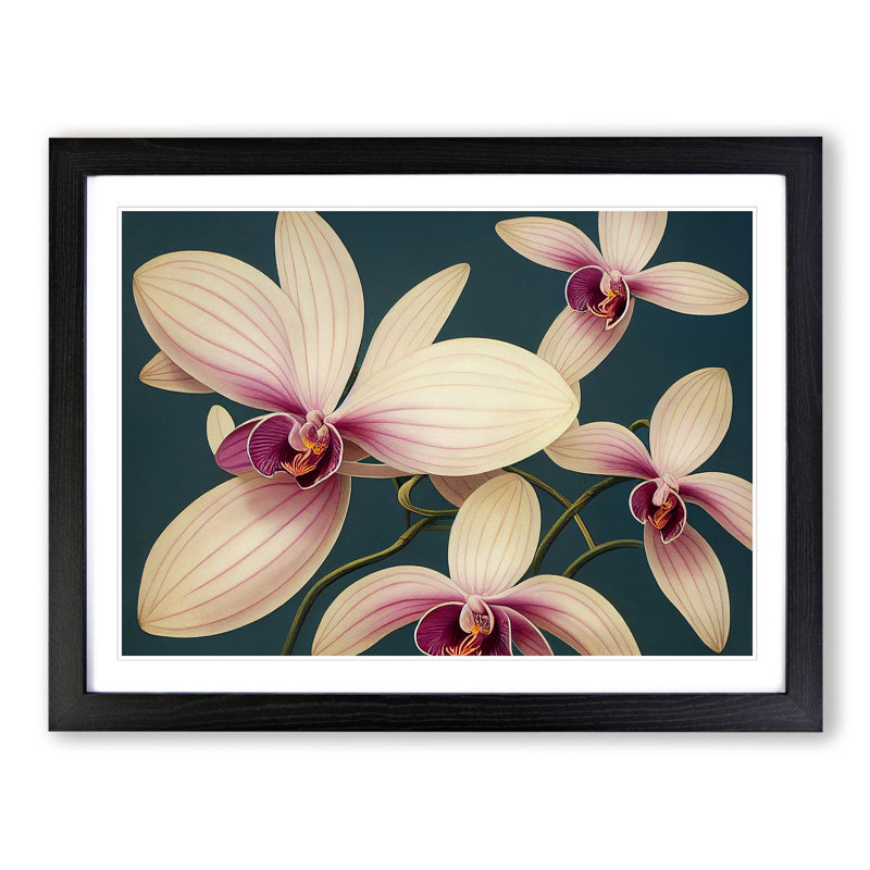 Wonderful Orchid Flowers - Single Picture Frame Painting, 46cm H x 64cm W x 2cm D, Black