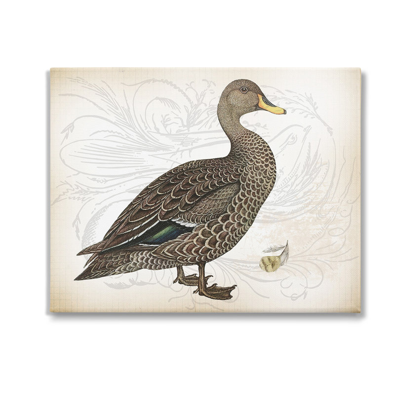 Art mural sur toile à motif de canard rétro par Lula Bijoux & co., 16 po x H 20 po