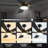 Amonnie 52'' Ceiling Fan with LED Lights-1365979910