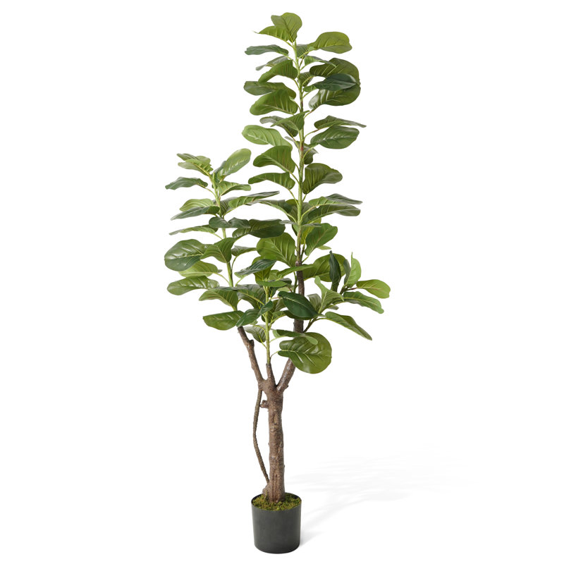 6-Foot Artificial Fiddle Leaf Fig Tree in Black Plastic Pot