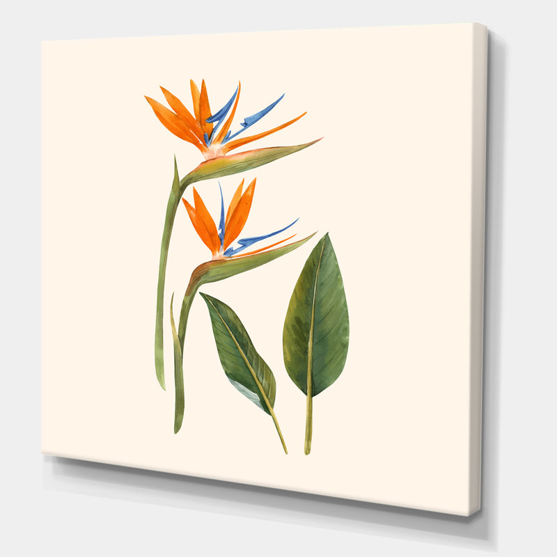 Fleurs de strelitzia rétro - impression sur toile, H 30 po x l 30 po x P 1 po, Toile tendue