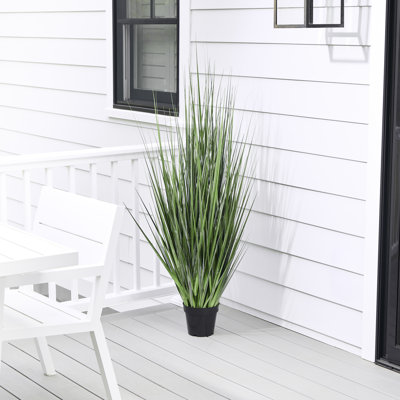Herbe d'agave en pot 60 po UV