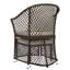 Chaise de patio avec coussins-1608574112-1608574113