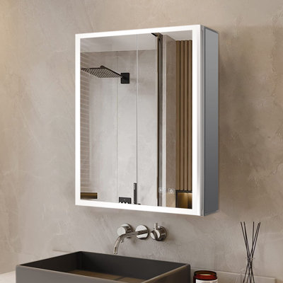 Armoire à pharmacie à miroir à fixation en surface avec désembueur à DEL l 24 po x H 28 po Mesa