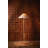 Bohicket Floor Lamp in Aged Brass by Cortney Bishop