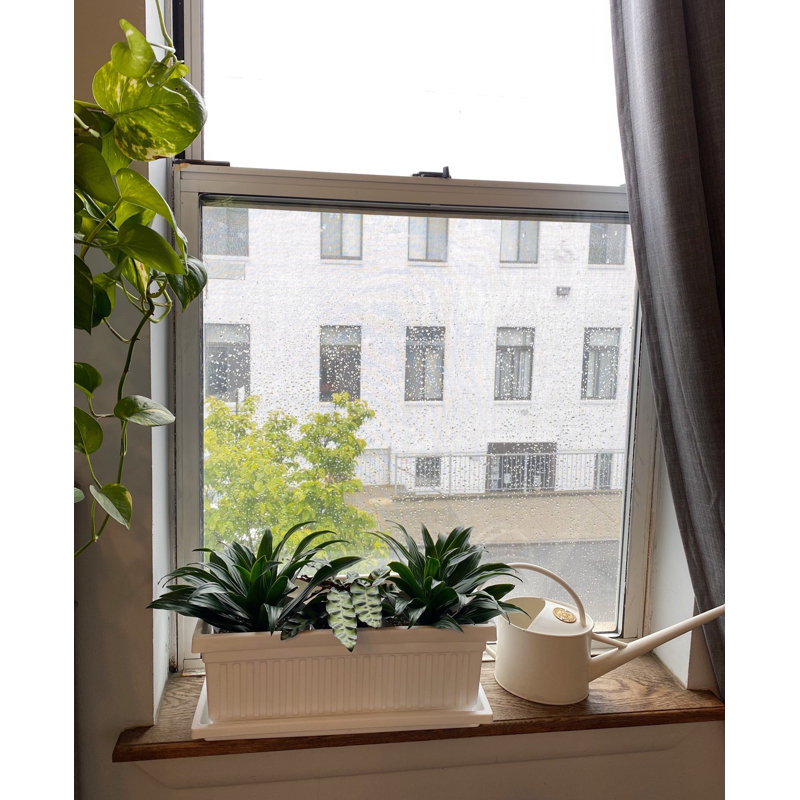 Pot à fleurs en plastique , H 1 po x l 18 po x P 5 po, Chocolat