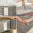 Frame Storage Box (Large-66L)