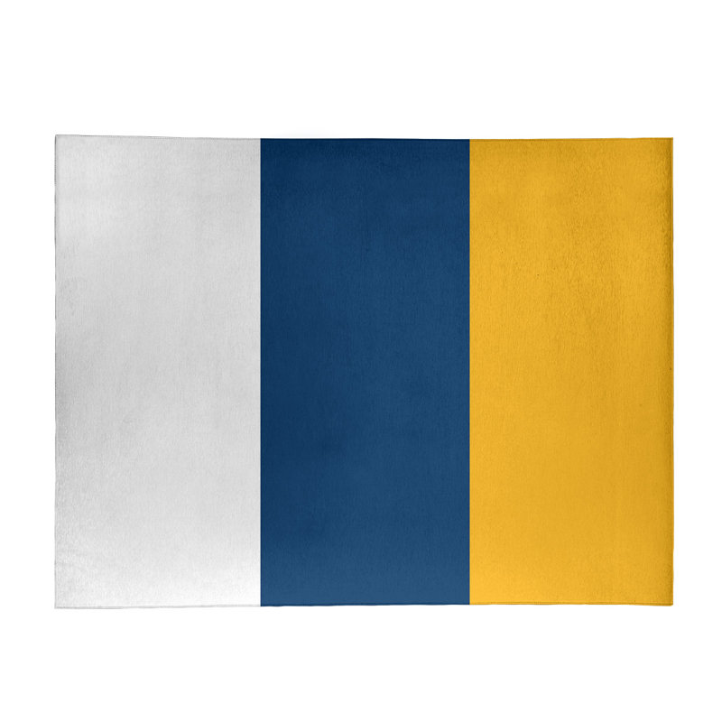 Chenille Indoor Rug, Rectangle 5' x 7'