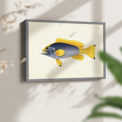 Collection de poissons tropicaux - impression encadrée en V - Restickable