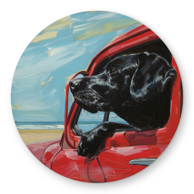 Travel buddy Gray Round Outdoor Area Rug for Home Decor