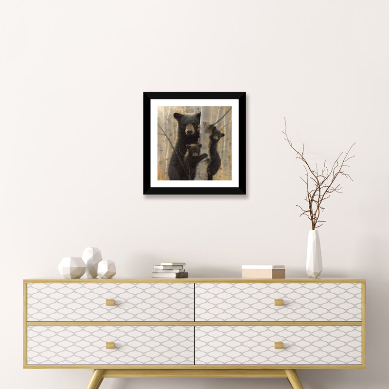 «Mama Black Bear» par Collin Bogle Print, H 16 po x l 16 po x P 1 po, Papier encadré noir