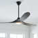 Maverick LED Ceiling Fan