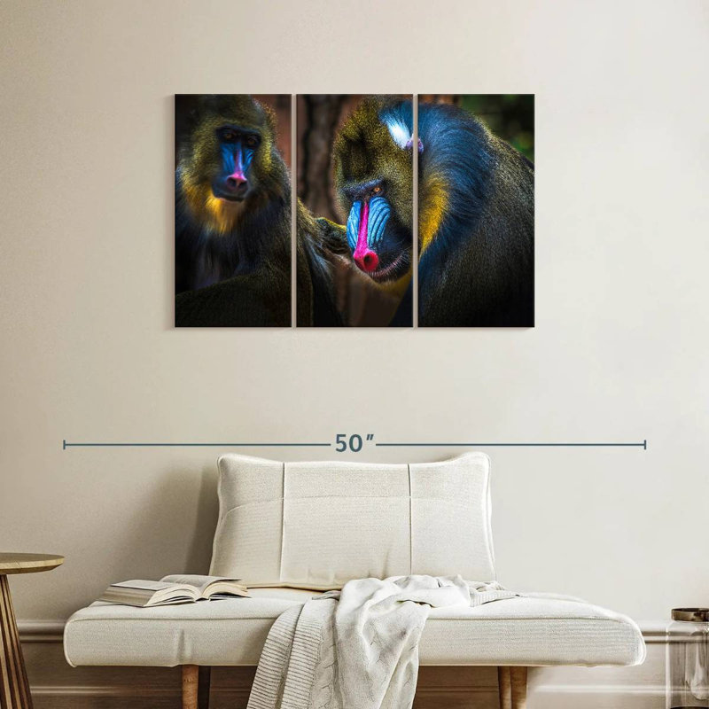 Deux singes Mandrill, H 24 po x l 38 po