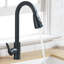 Moverlesenk Kitchen Faucet Side Spray