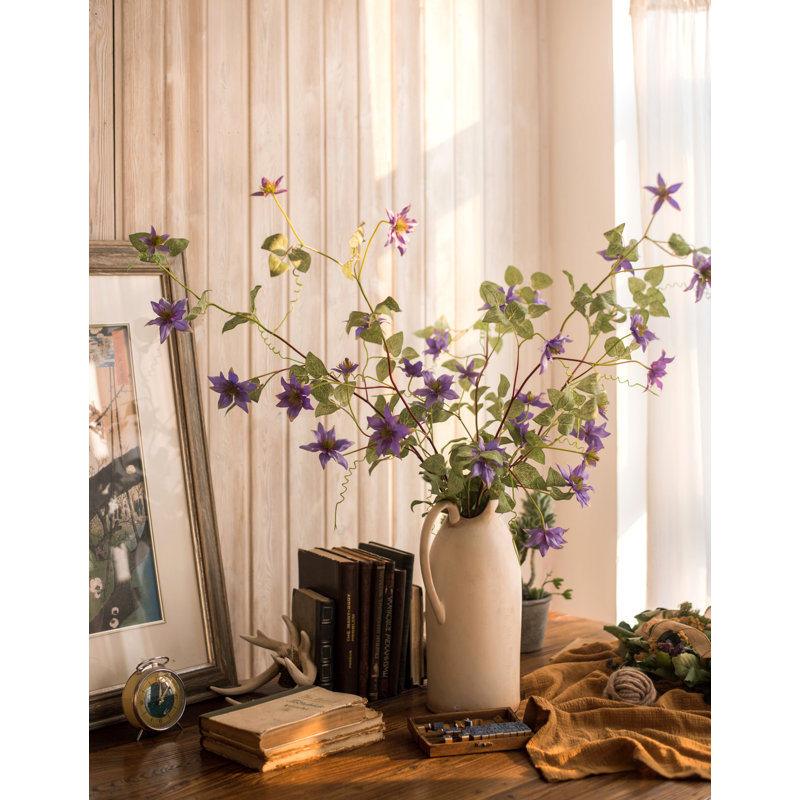 Tige de clematis allemande, Mauve