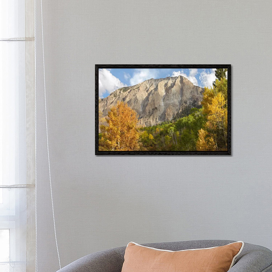 Marcellina Mountain Near Crested Butte, Colorado von Tim Fitzharris - Galerie-verpackte Leinwand Giclée auf Leinwand