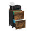 Franny 42 cm W 2 -Drawer Filing Cabinet-1523062147