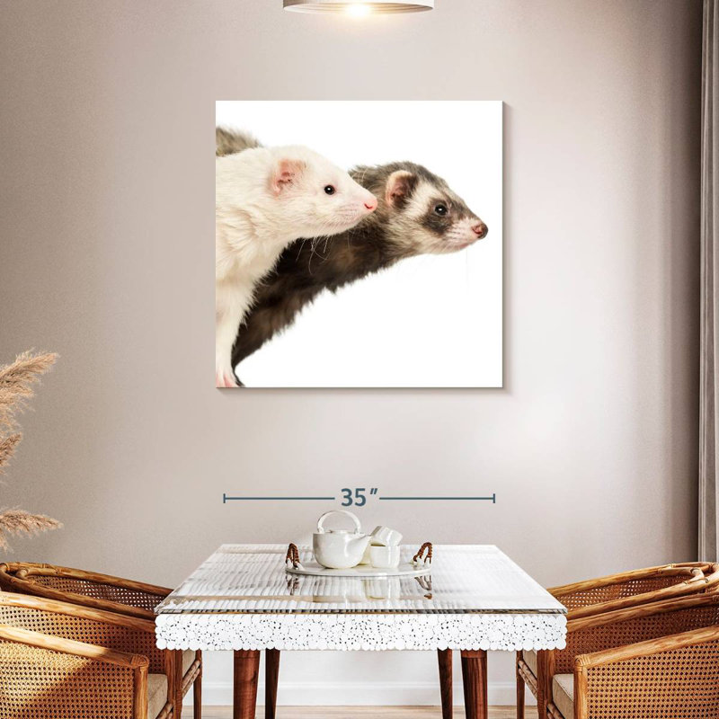 Crowle Two Curious Ferrets, 36" H x 36" W