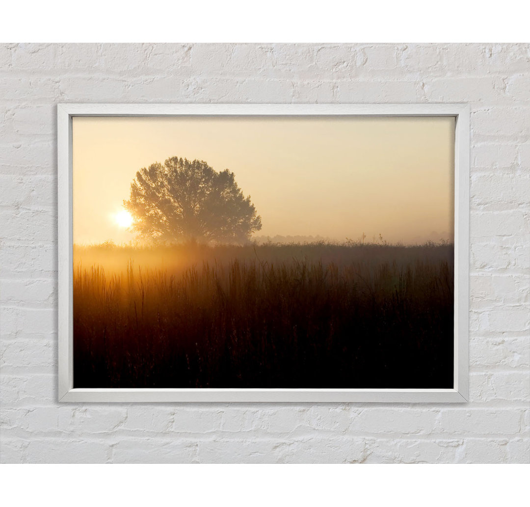 Yorkshire Dales Sonnenuntergang Nebel - Einzelner Bilderrahmen Kunstdrucke auf Leinwand