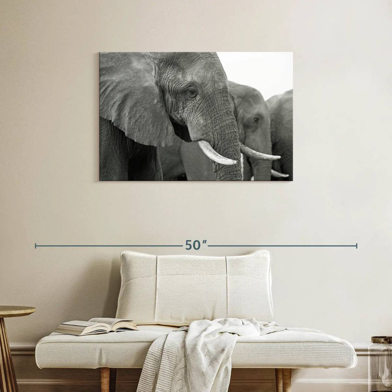 Défenses ivoire éléphant Brampt, H 24 po x l 36 po