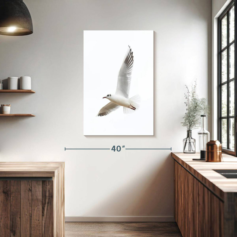 Brampt volant de goéland kittiwake, H 39 po x l 26 po