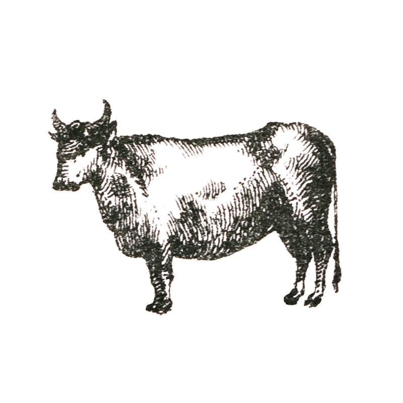 Farm Animal Icons IV by Sue Schlabach - Wrapped Canvas Print, 51cm H x 51cm W