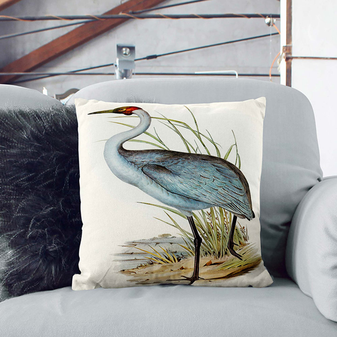 Australian Crane by Elizabeth Gould Cushion with Filling