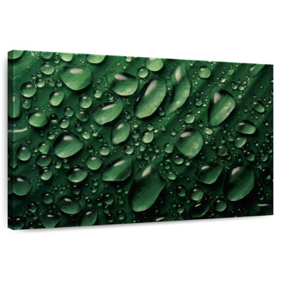 Gouttelettes d'eau Harnek Leaf