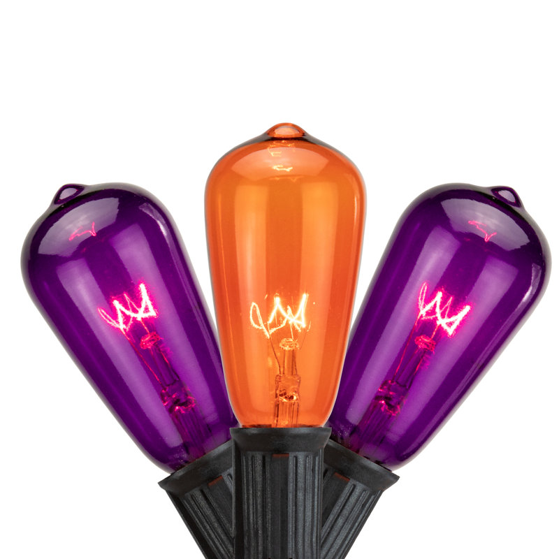 10ct Purple and Orange Edison E17 Halloween Light Set 9ft Black Wire