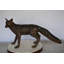 Maumee Fox Standing Bronze Statue -  Size: 36"L x 11"W x 19"H.